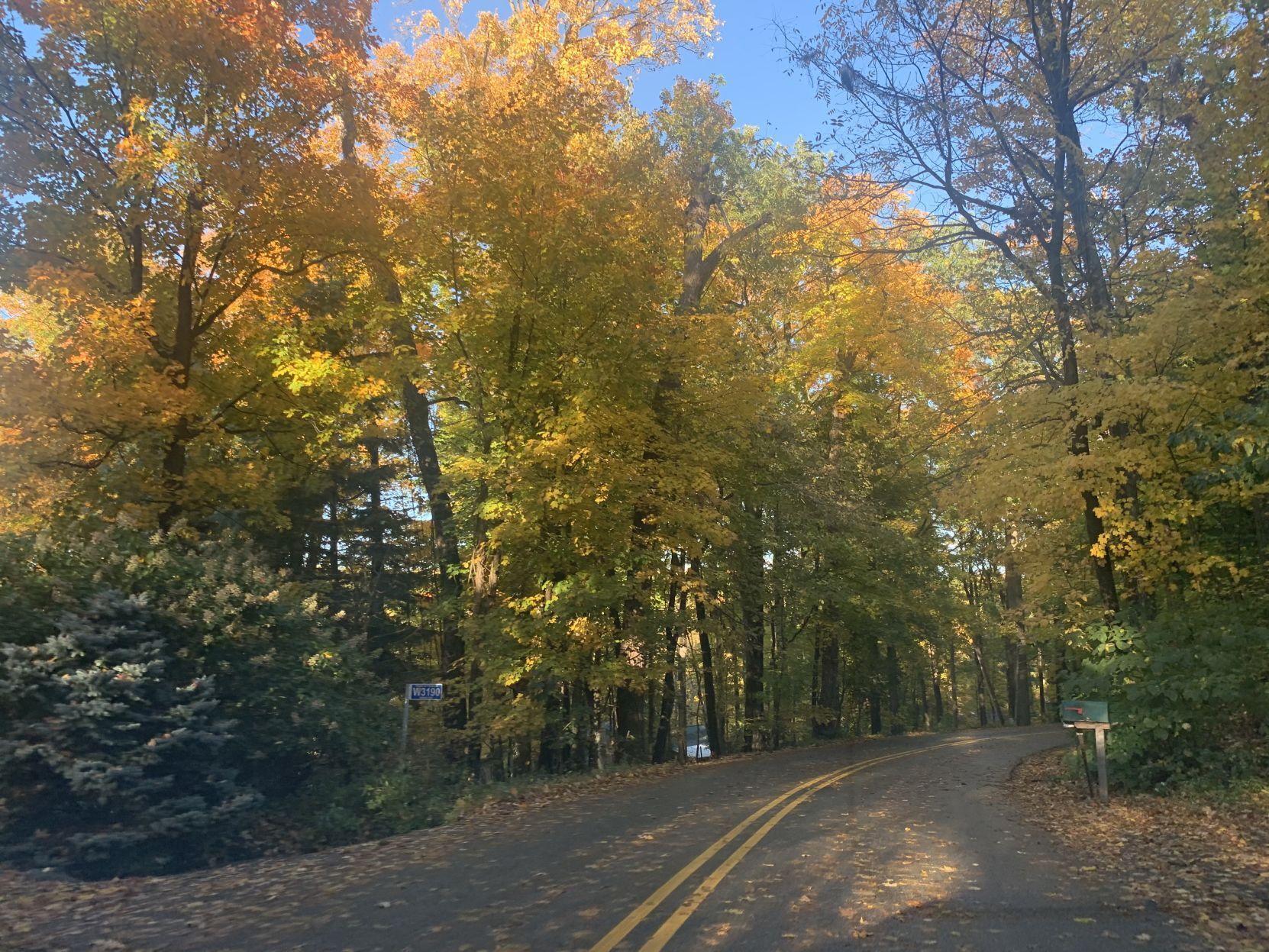 Snake Road fall colors